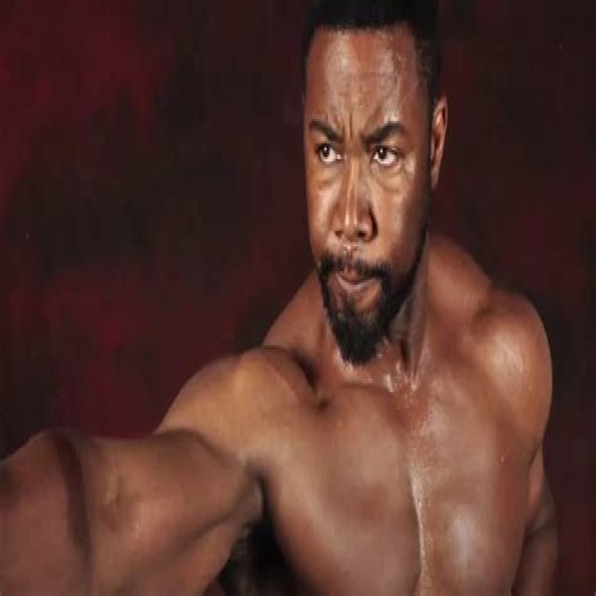 9 Enigmatic Facts About Michael Jai White