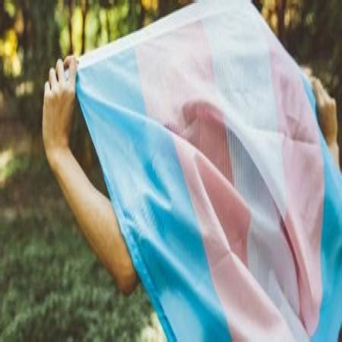 A Window Into Transgender Experiences