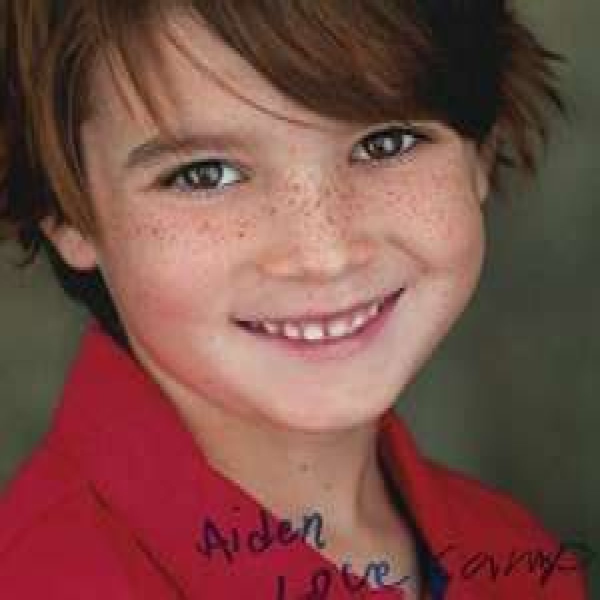 
Aiden Lovekamp Height, Weight, Net Worth, Age, Birthday, Wikipedia, Who, Nationality, Biography 