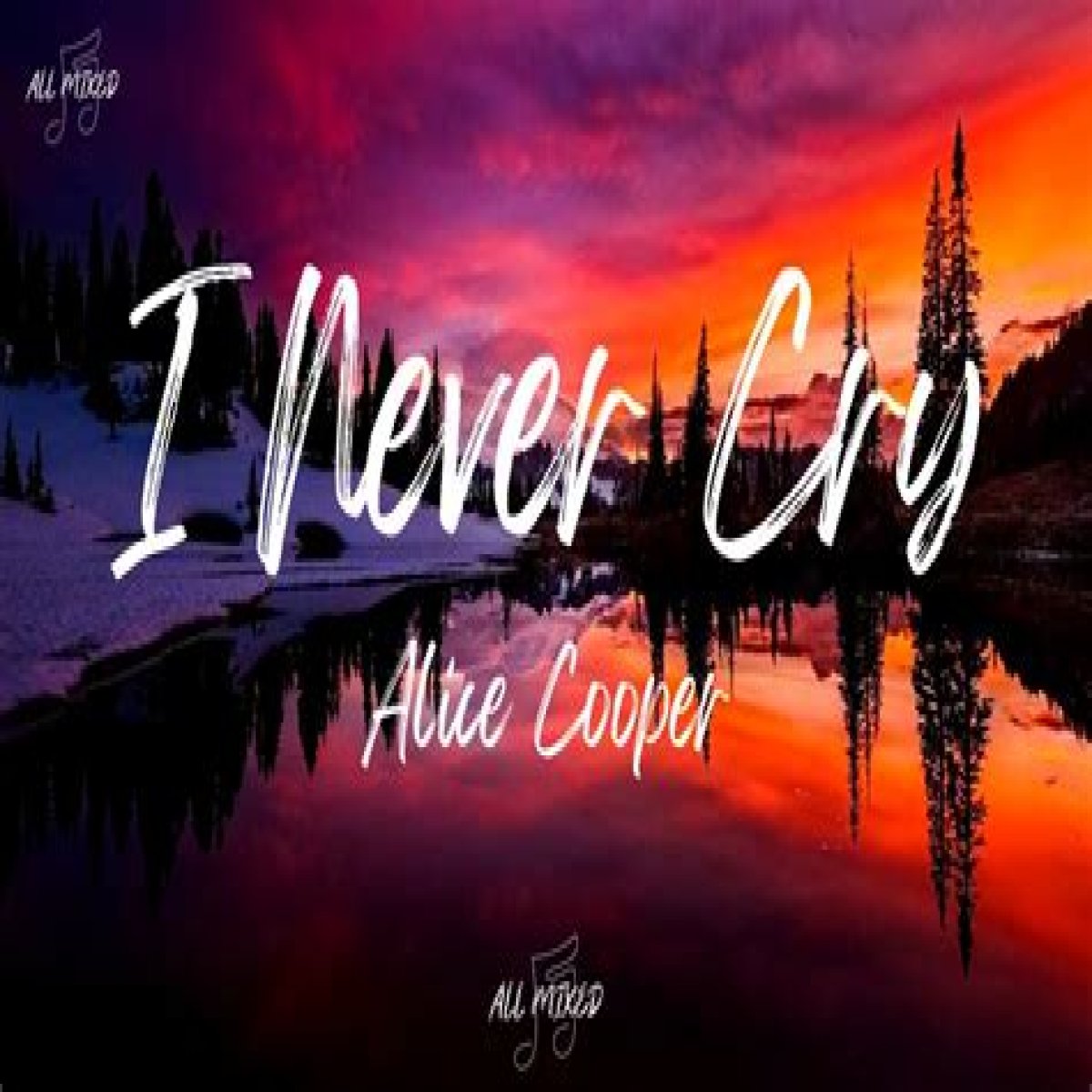 Alice Cooper I Never Cry Lyrics English Translation