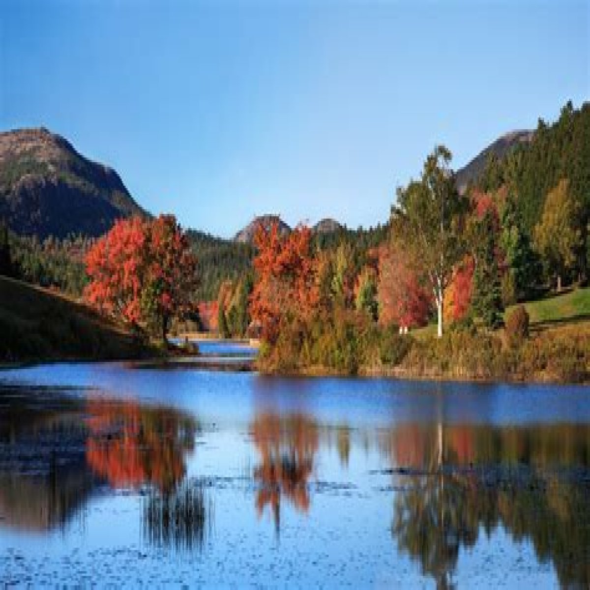 Best Fall Foliage Cruise Destinations