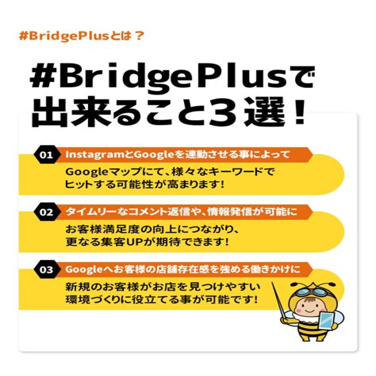 BridgePlus Manual