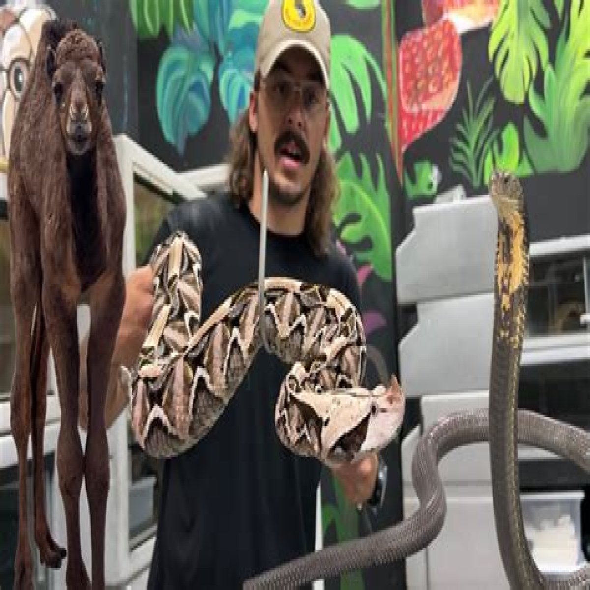 Chandler’s Wild Life: YouTuber, Real Name, Age, GirlFriend, Instagram, Dog, Net Worth!