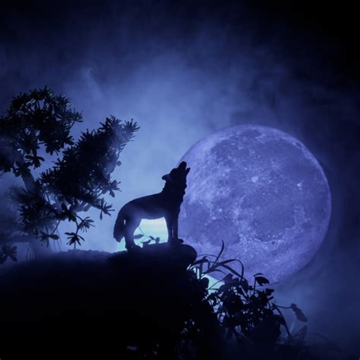 Howl at the moon