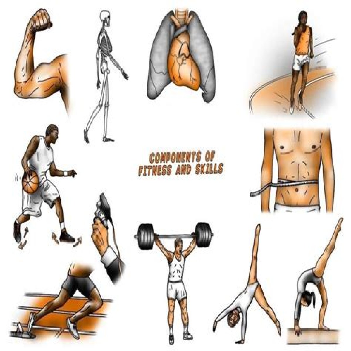 Single part of a gym exercise