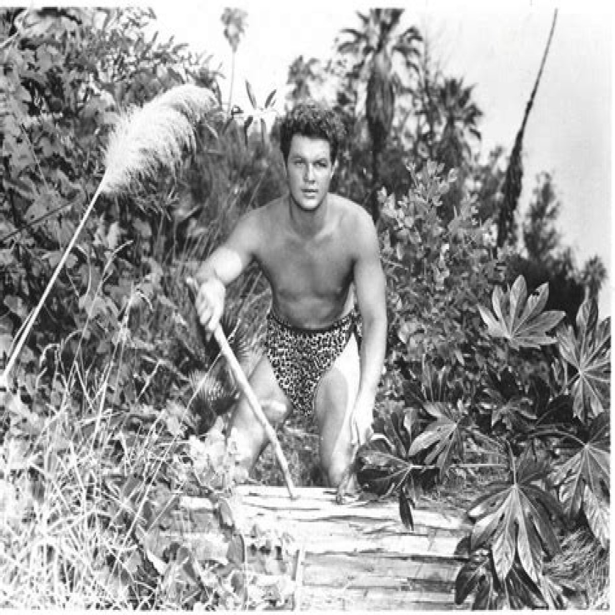 Unveiling Johnny Sheffield's Net Worth: Discoveries And Insights