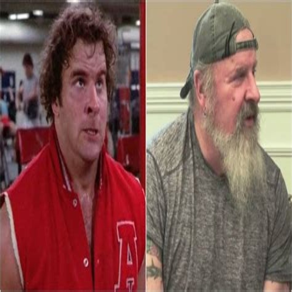 What Is The Cast Of Revenge Of The Nerds Doing Now In 2022?