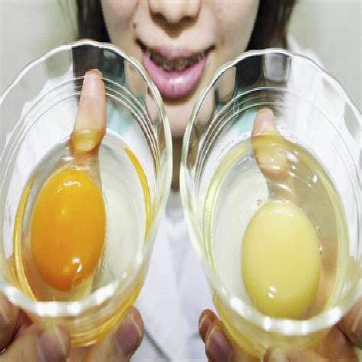 What the yolk and white are enclosed in